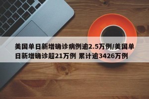 美国单日新增确诊病例逾2.5万例/美国单日新增确诊超21万例 累计逾3426万例