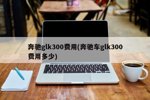 奔驰glk300费用(奔驰车glk300费用多少)