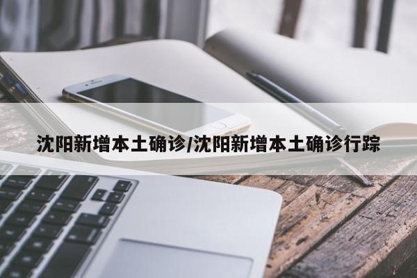 沈阳新增本土确诊/沈阳新增本土确诊行踪